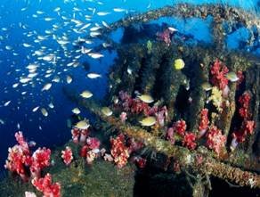 投設人工魚礁改善漁場環境