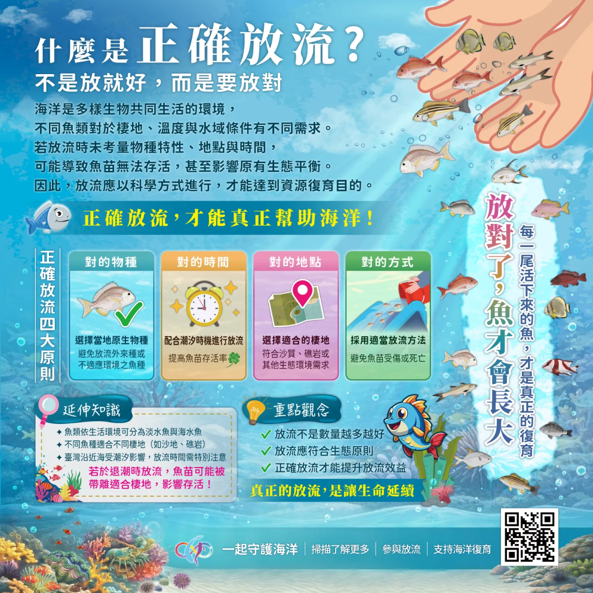 圖片敘述如右